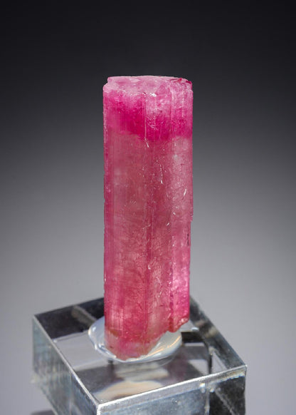 CC21283 specimen image