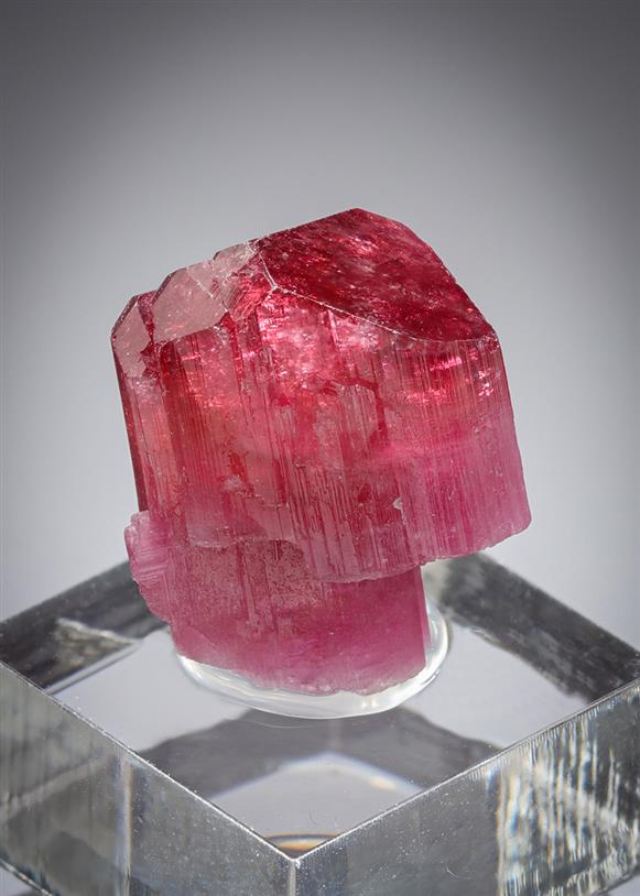 CC21300 specimen image