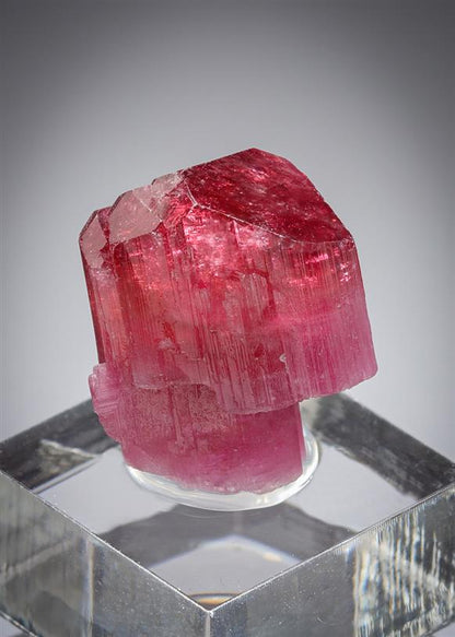CC21300 specimen image