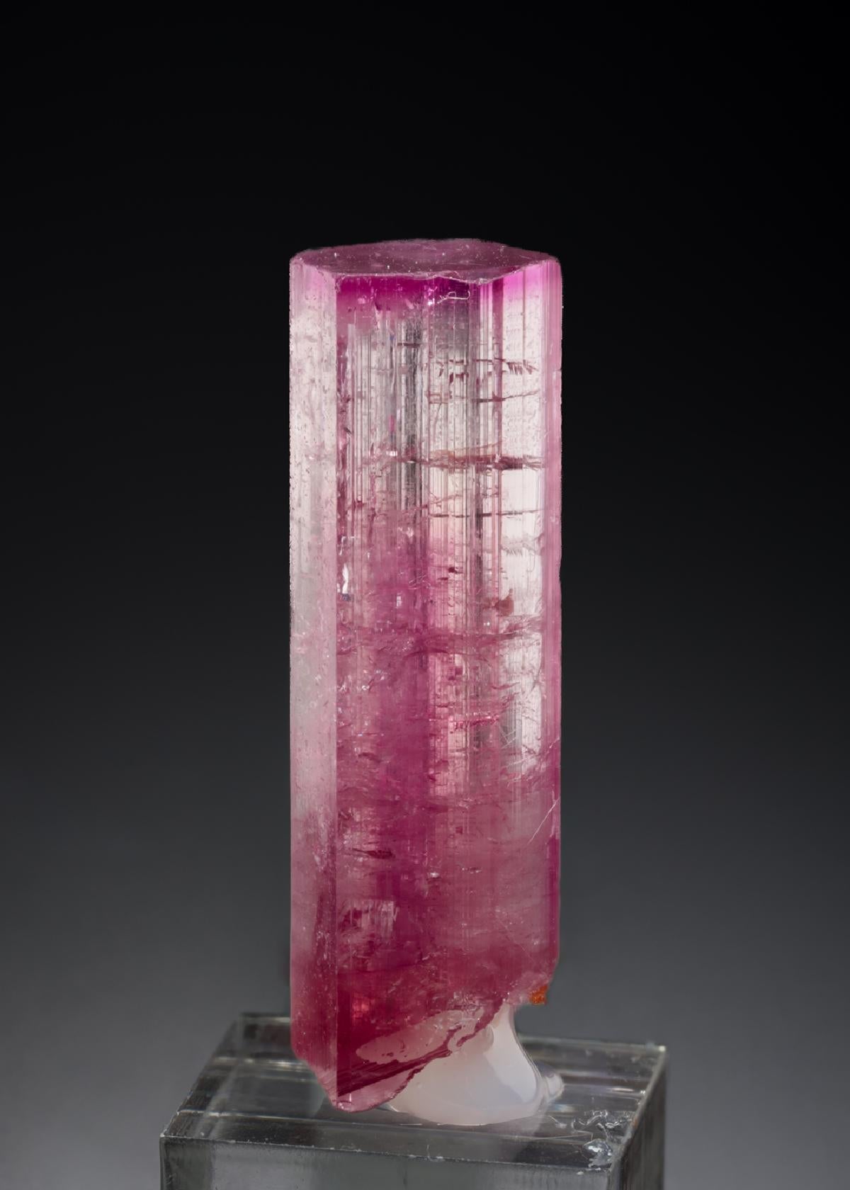 CC21331 specimen image