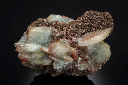 CC21345 specimen image