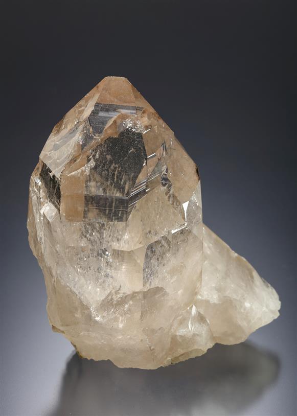 CC21346 specimen image