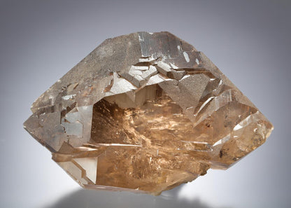 CC21348 specimen image