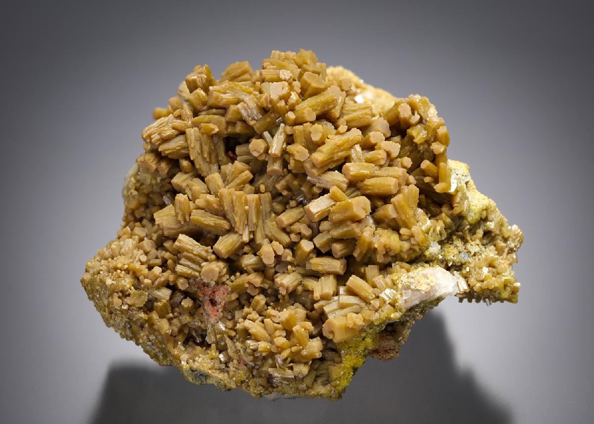 CC21349 specimen image