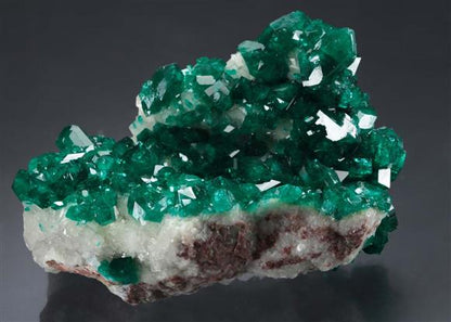 CC21355 specimen image