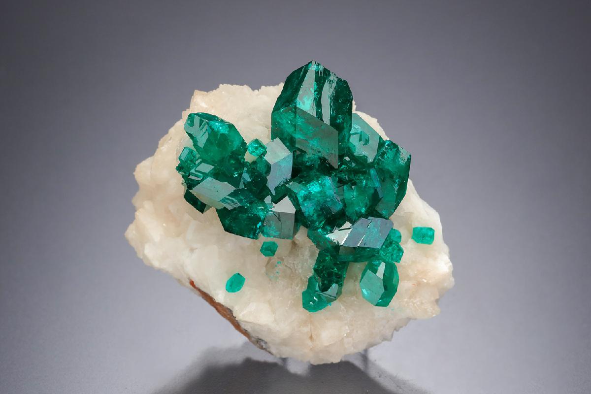 CC21360 specimen image
