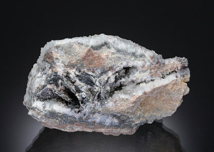 CC21443 specimen image