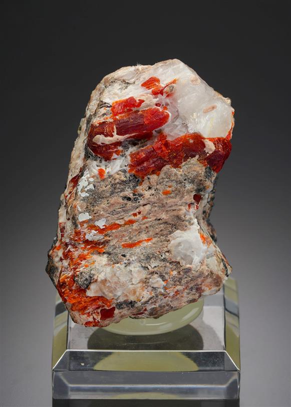 CC21448 specimen image