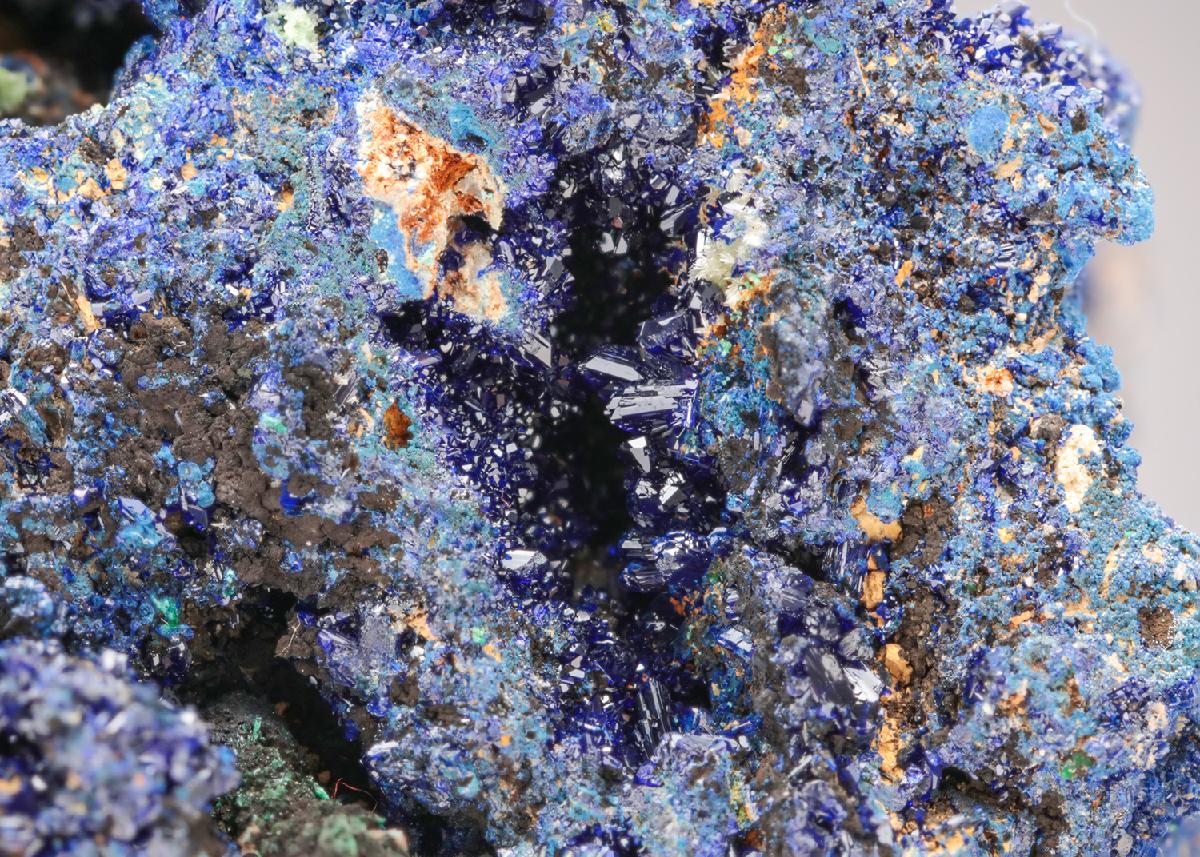 CC21514 specimen image