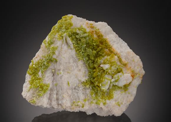 CC21515 specimen image