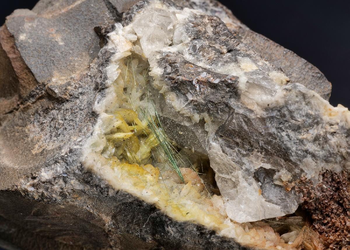 CC21542 specimen image