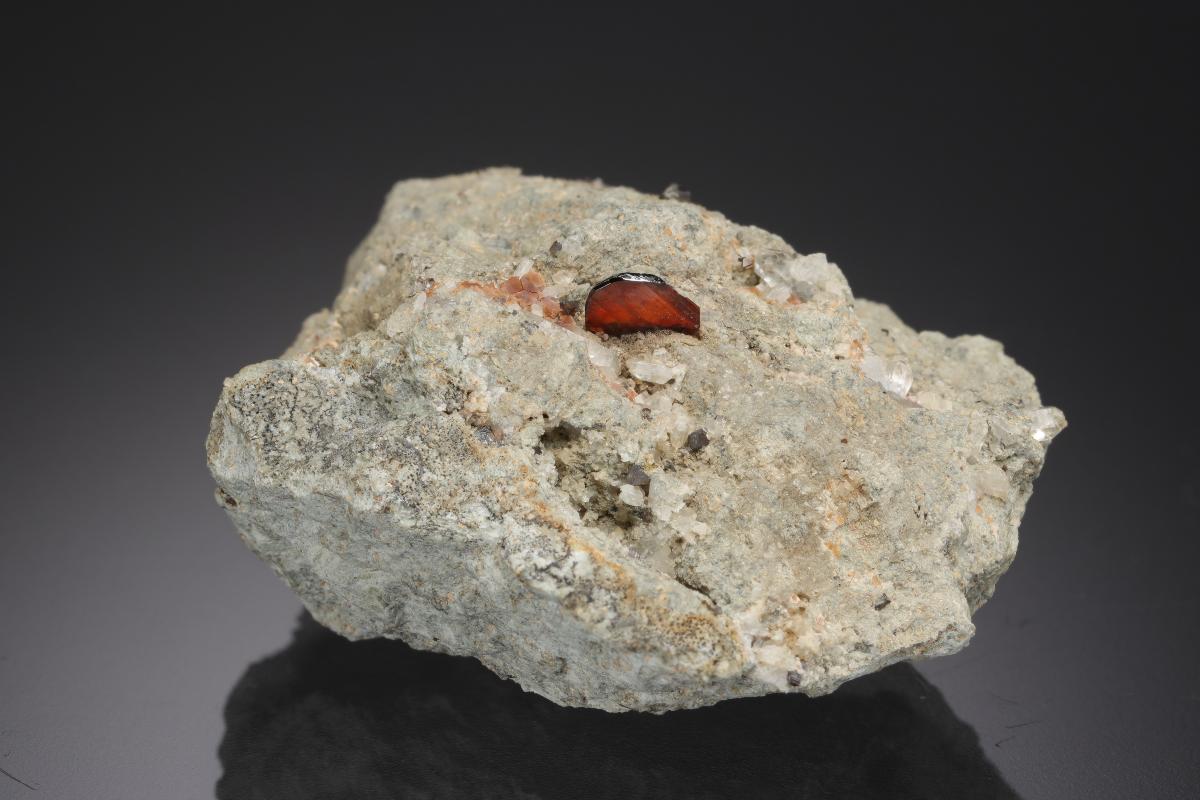 CC21547 specimen image