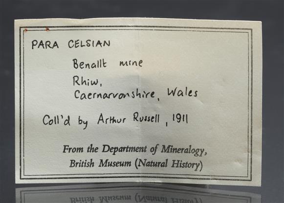 CC21551 specimen image