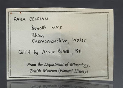 CC21551 specimen image