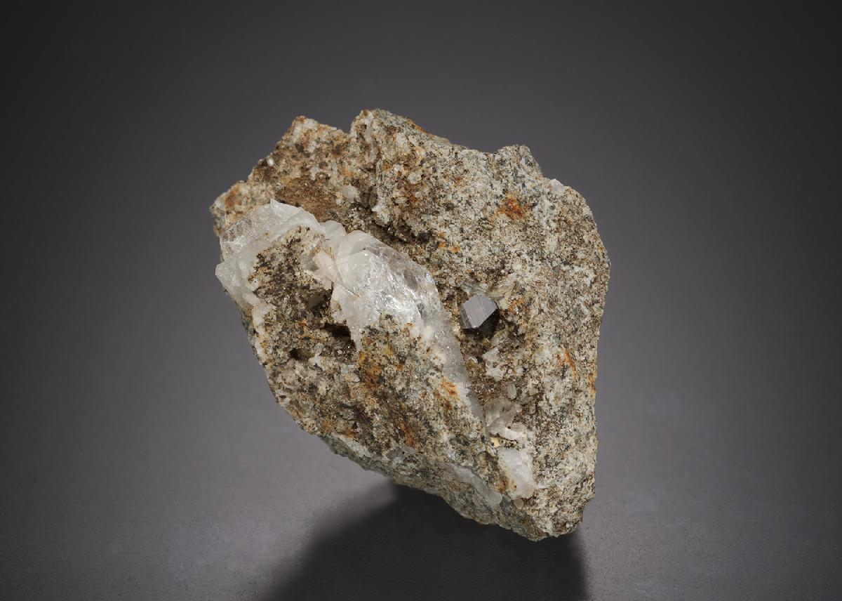CC21567 specimen image
