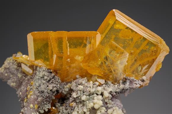 CC21622 specimen image