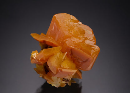 CC21623 specimen image