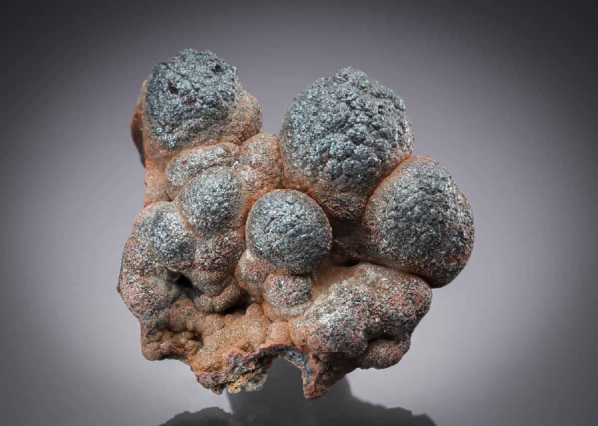 CC21633 specimen image