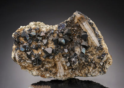 CC21635 specimen image