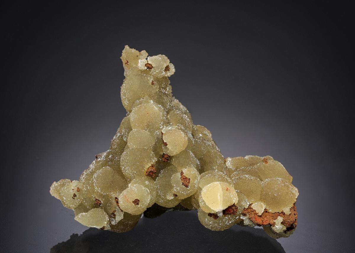 CC21642 specimen image