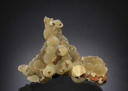 CC21642 specimen image
