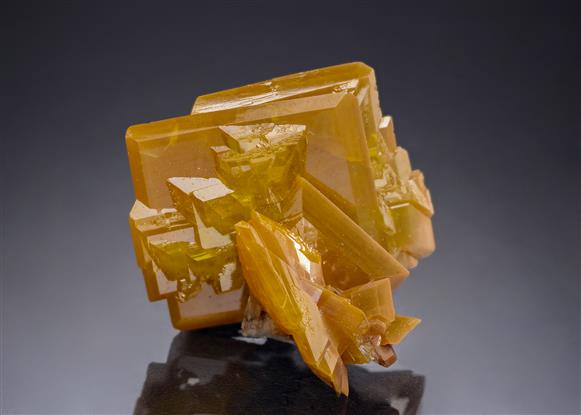 CC21646 specimen image