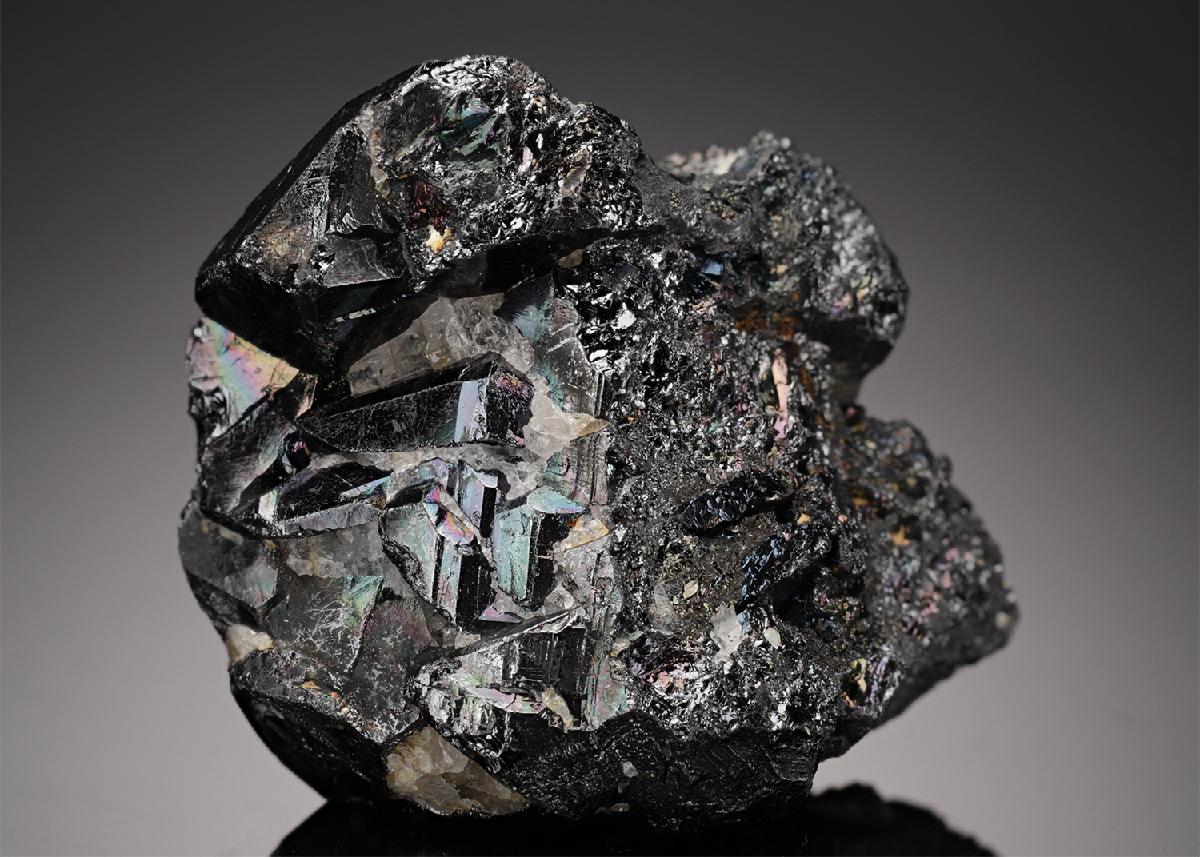 CC21650 specimen image