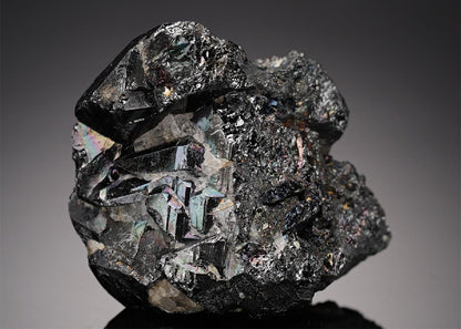 CC21650 specimen image