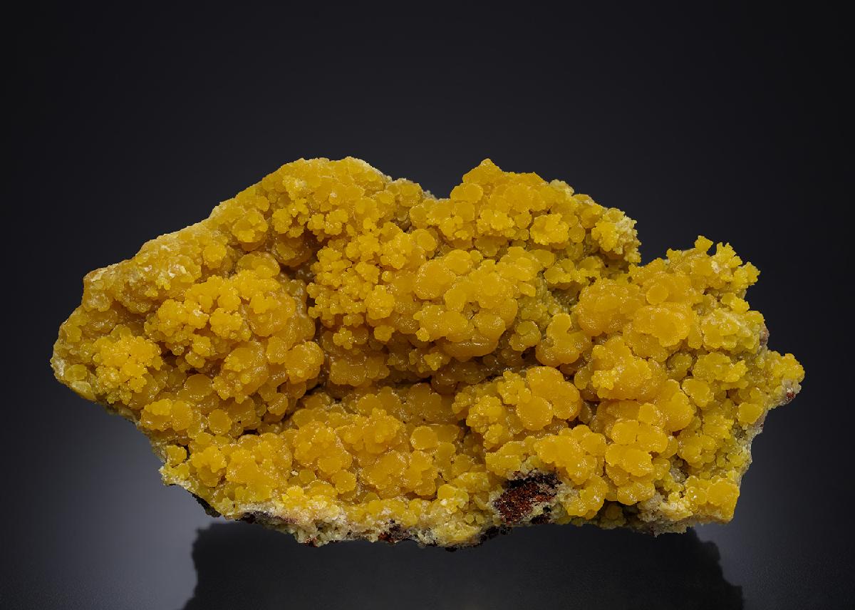 CC21668 specimen image