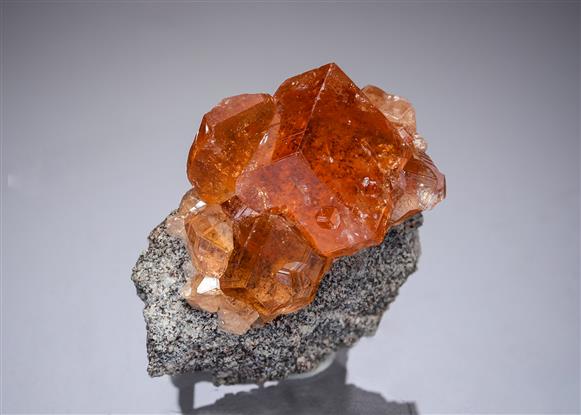 CC21673 specimen image