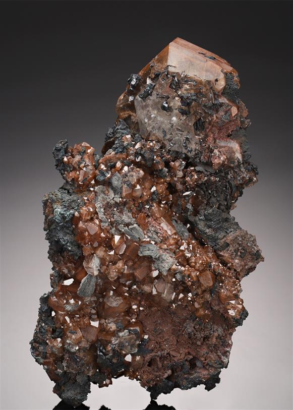 CC21685 specimen image