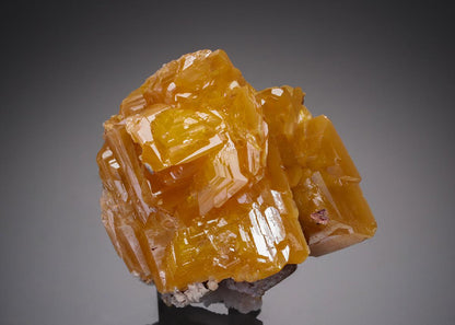 CC21723 specimen image