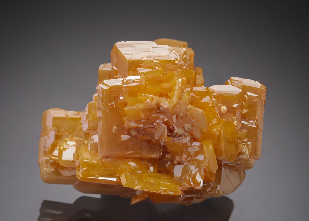 CC21746 specimen image