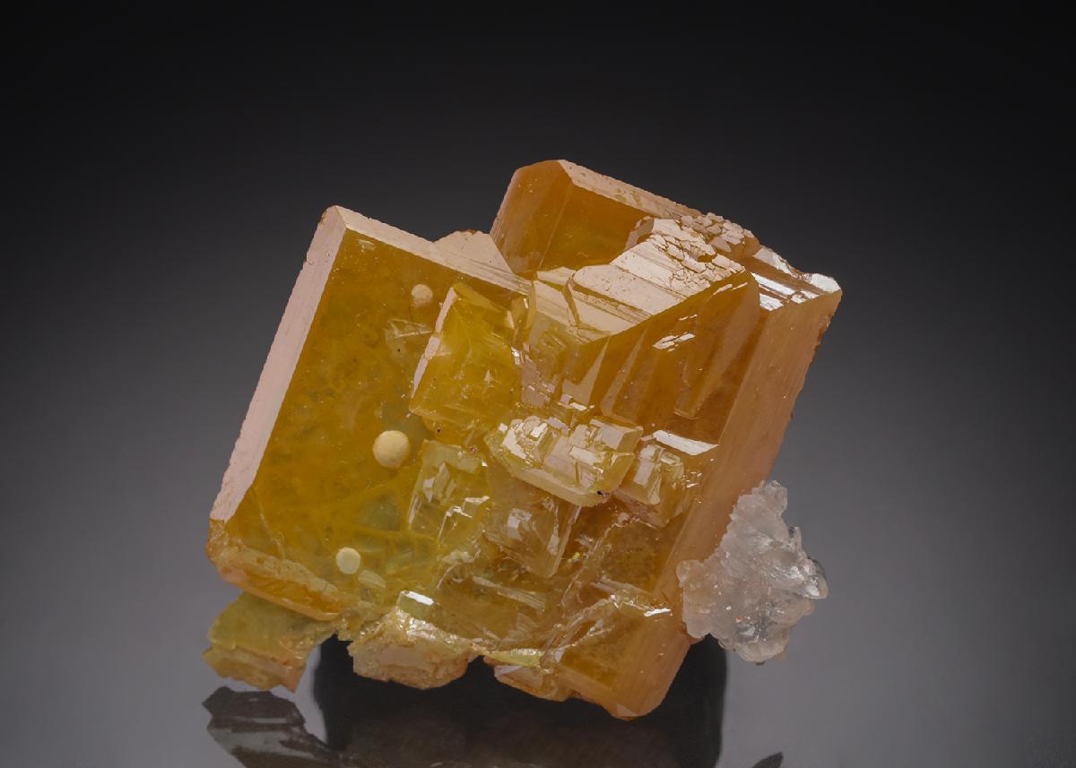 CC21748 specimen image