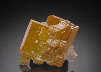 CC21748 specimen image