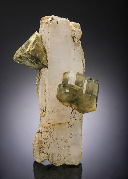 CC2178 specimen image