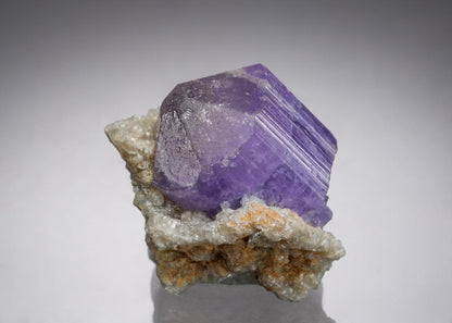 CC21788 specimen image
