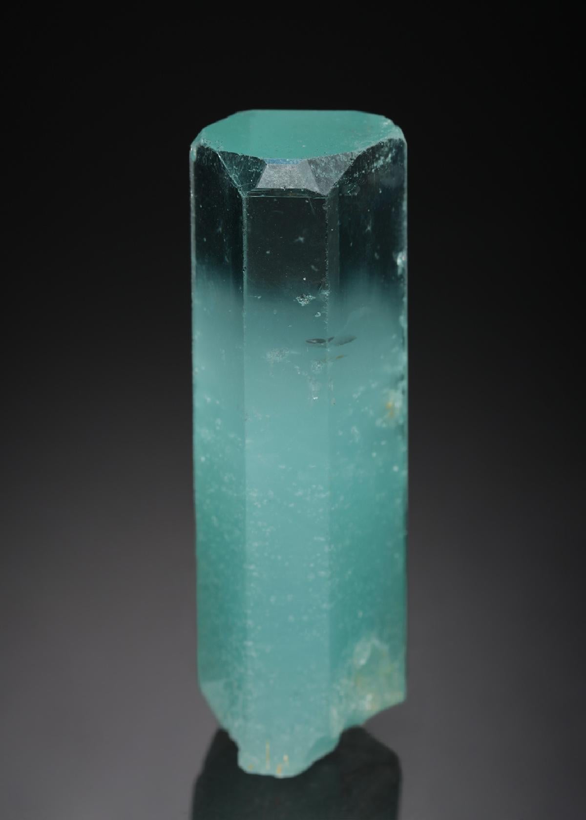 CC21795 specimen image