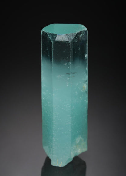 CC21795 specimen image
