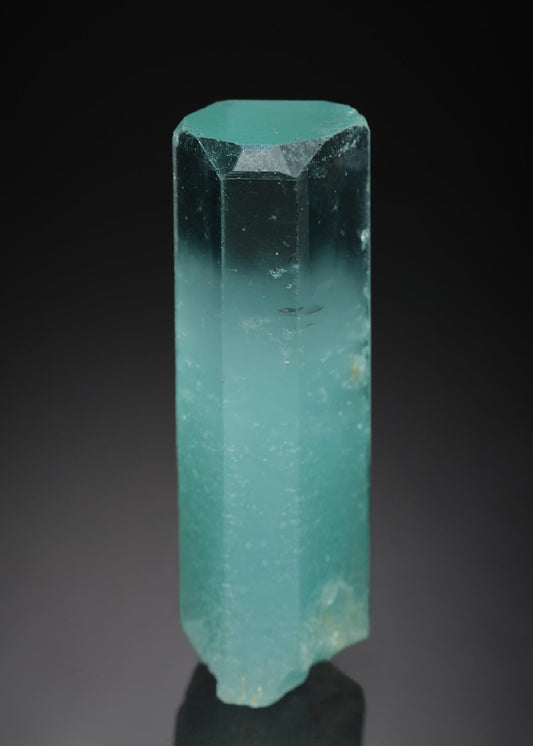 CC21795 specimen image