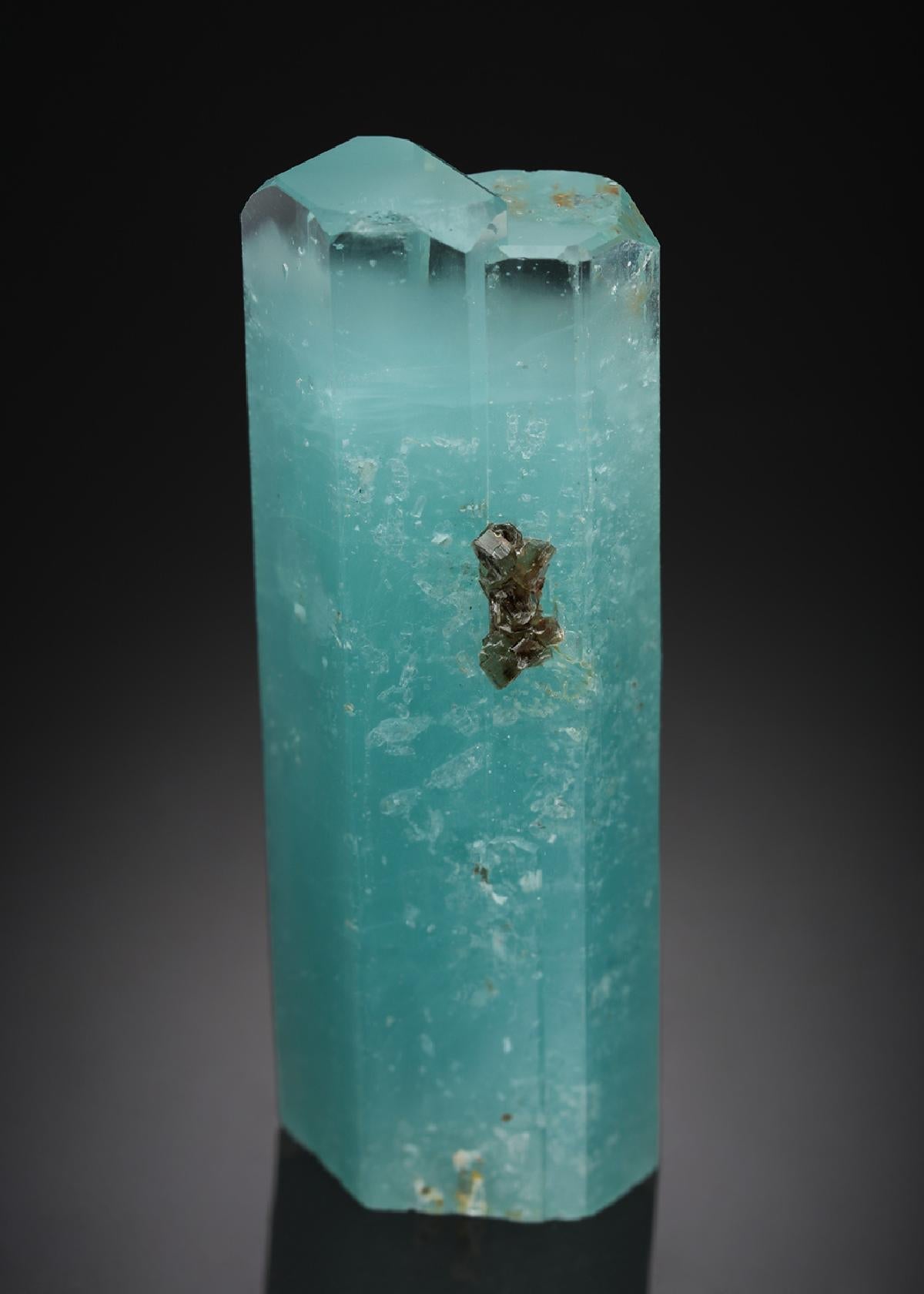 CC21797 specimen image