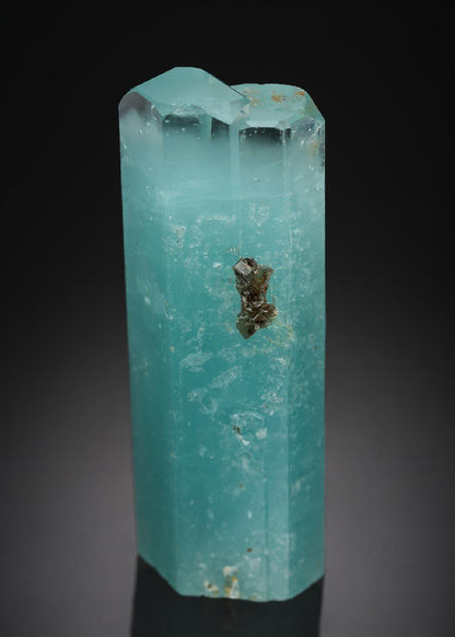 CC21797 specimen image