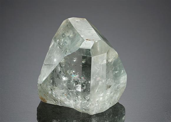 CC21808 specimen image