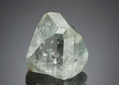 CC21808 specimen image