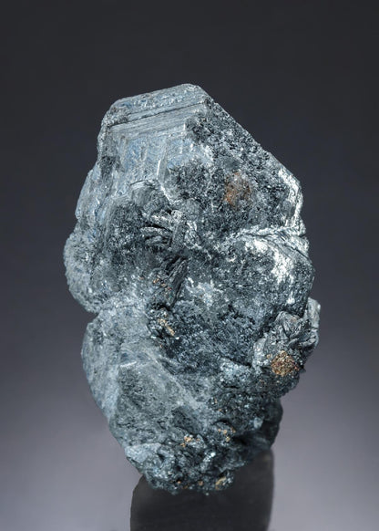 CC21815 specimen image