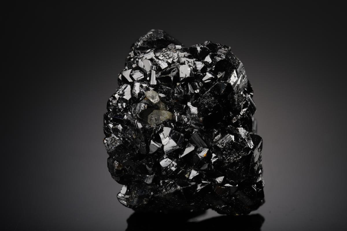 CC21820 specimen image