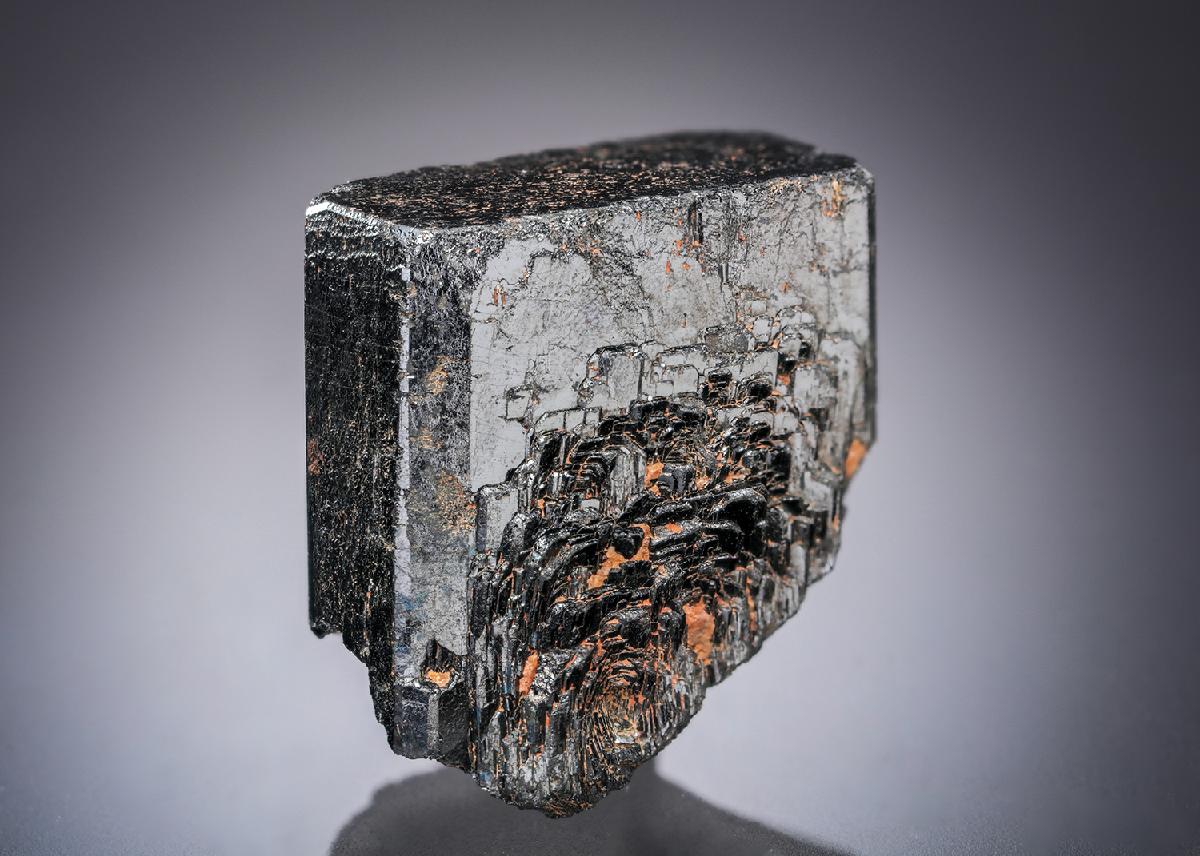 CC21826 specimen image
