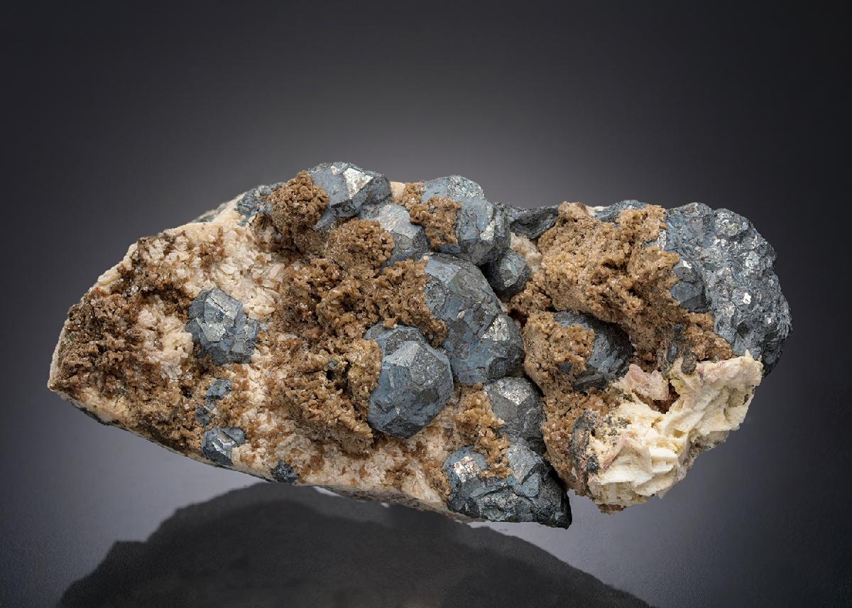 CC21829 specimen image