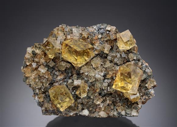 CC21832 specimen image