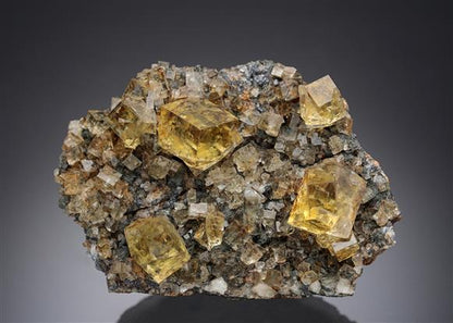 CC21832 specimen image